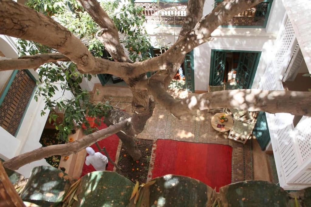 Riad Dar Zitouna Marrakesh - Entire House In Exclusivity Екстер'єр фото